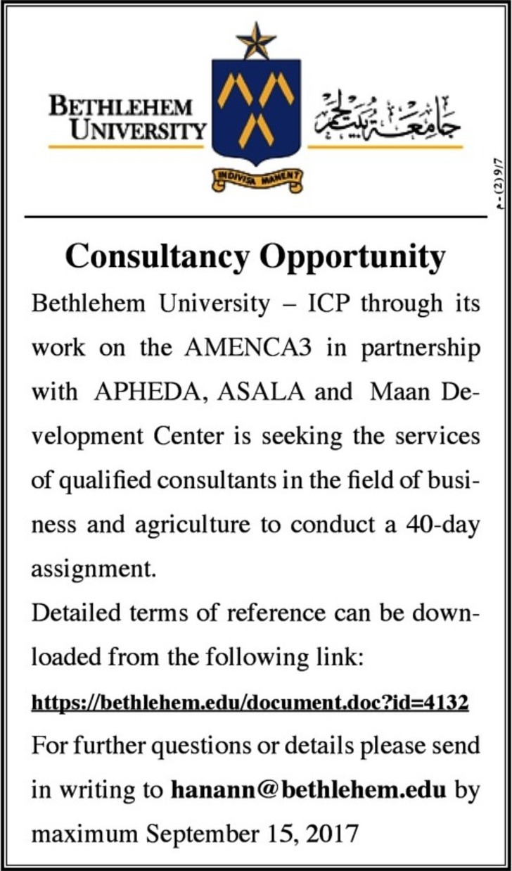 consultancy opportunity 