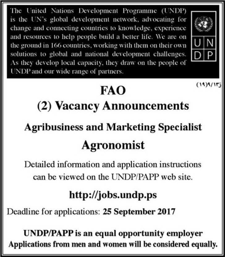 agribusiness and marketing specialist 