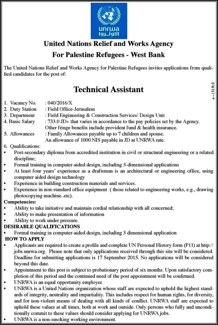 technical assistant