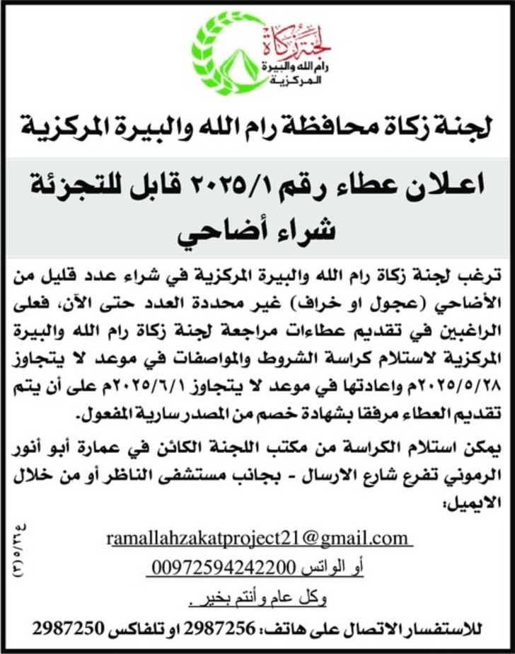 شراء اضاحي 
