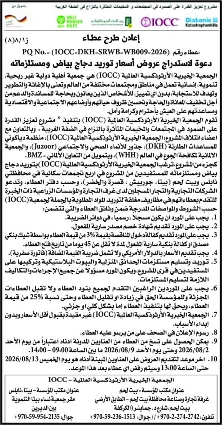 توريد دجاج بياض ومستلزماته توريد دجاج بياض ومستلزماته
