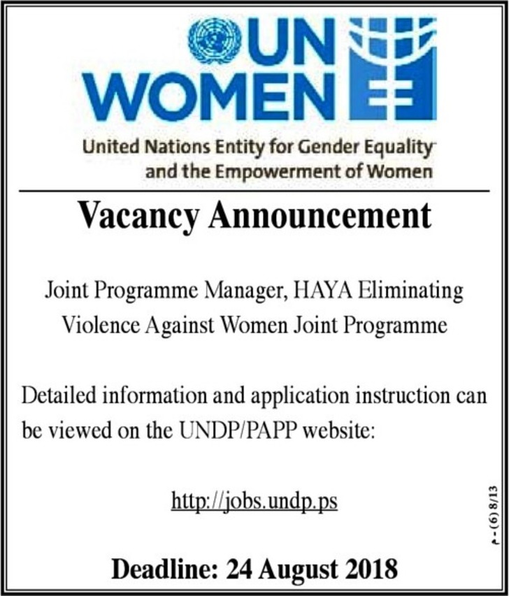 joint programme manager 