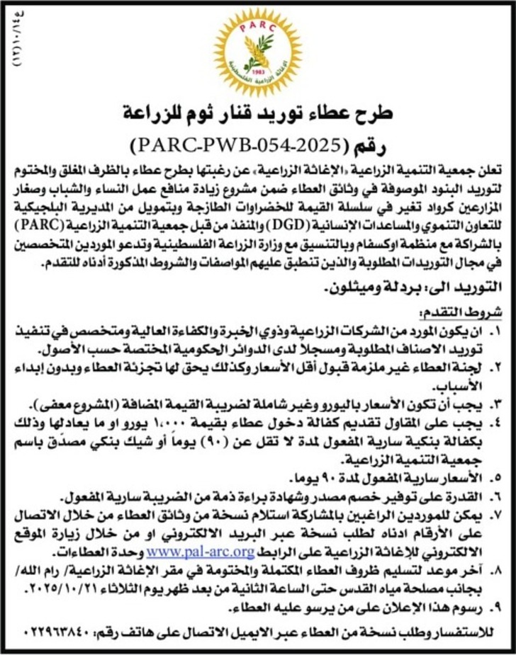 توريد قنار ثوم للزراعة