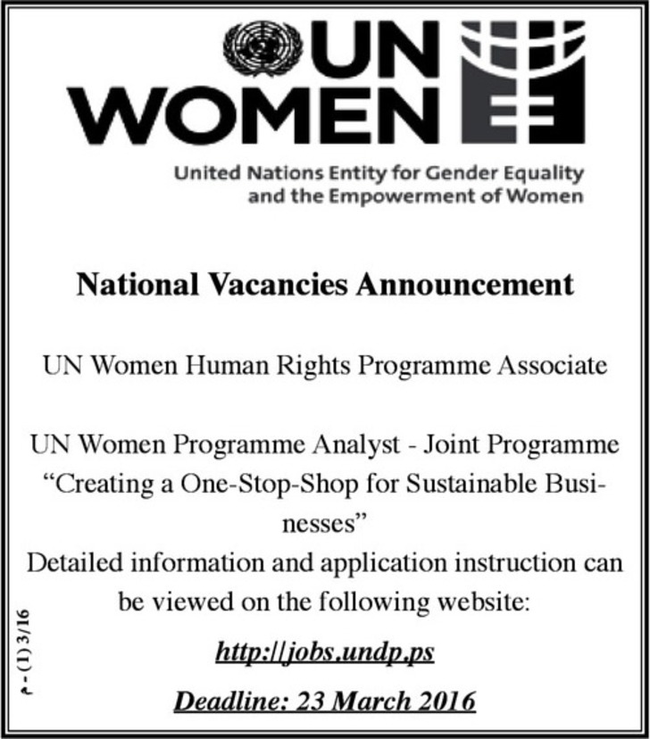 Human Rights Programme Associate