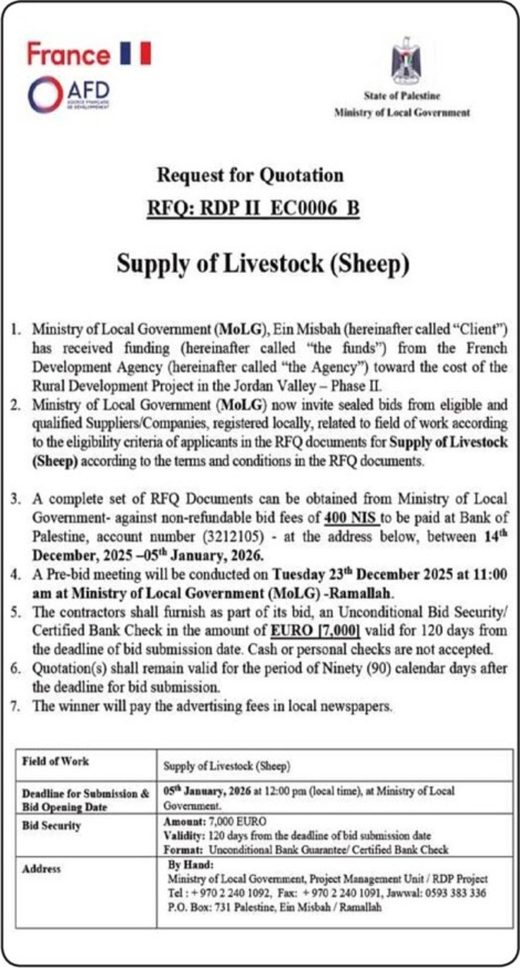 Supply of Livestock Sheep Supply of Livestock Sheep