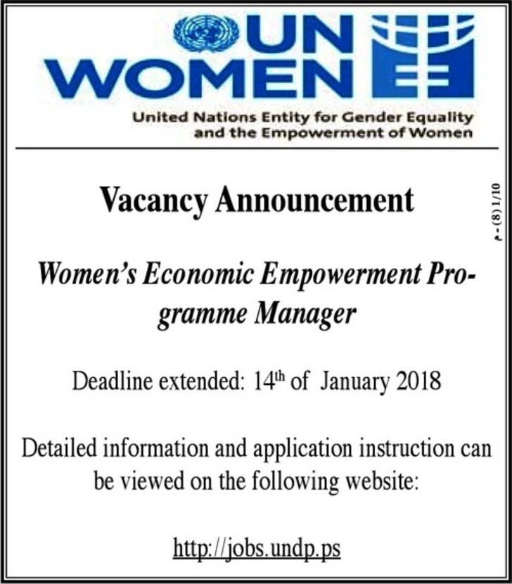 women's economic empowerment programme manager 