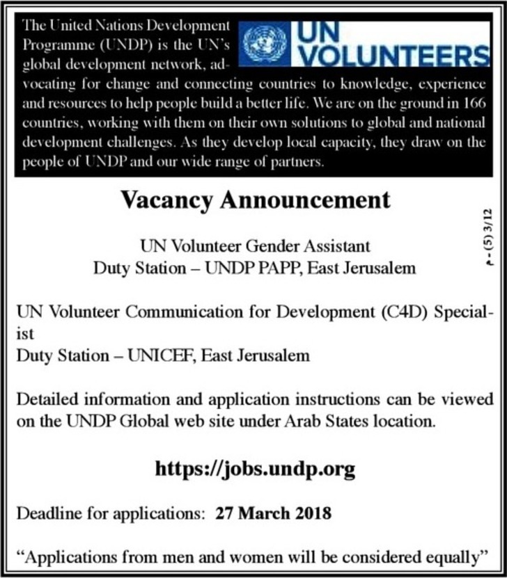 UN Volunteer Gender assistant 