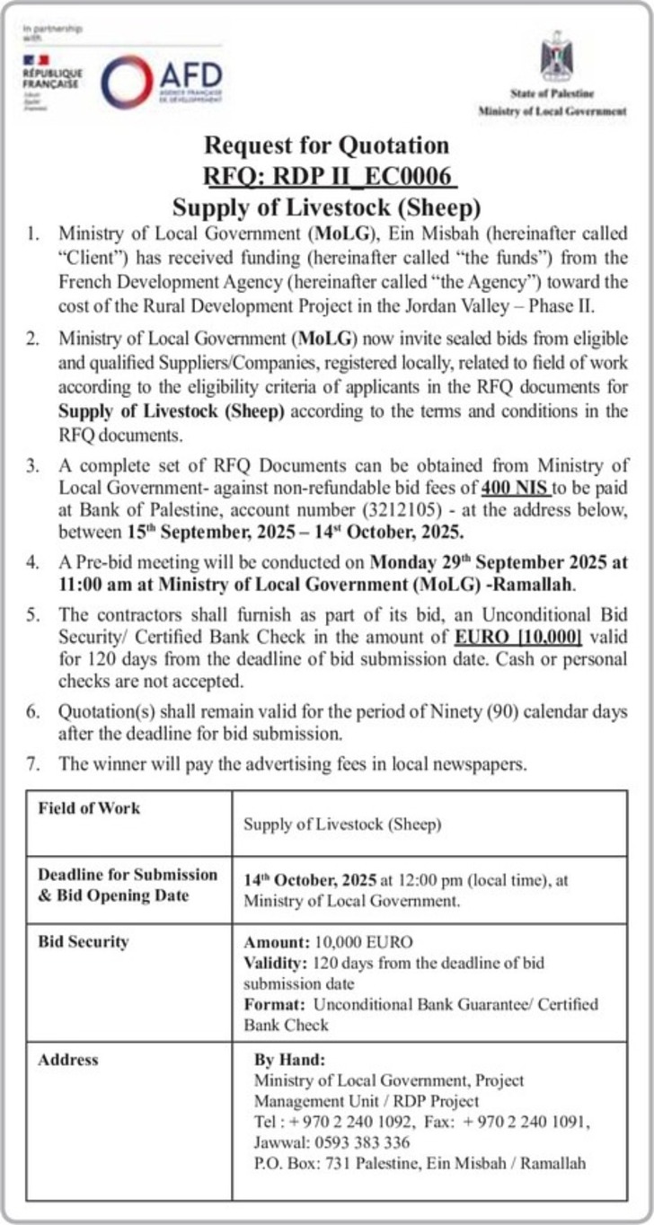 Supply of Livestock Sheep