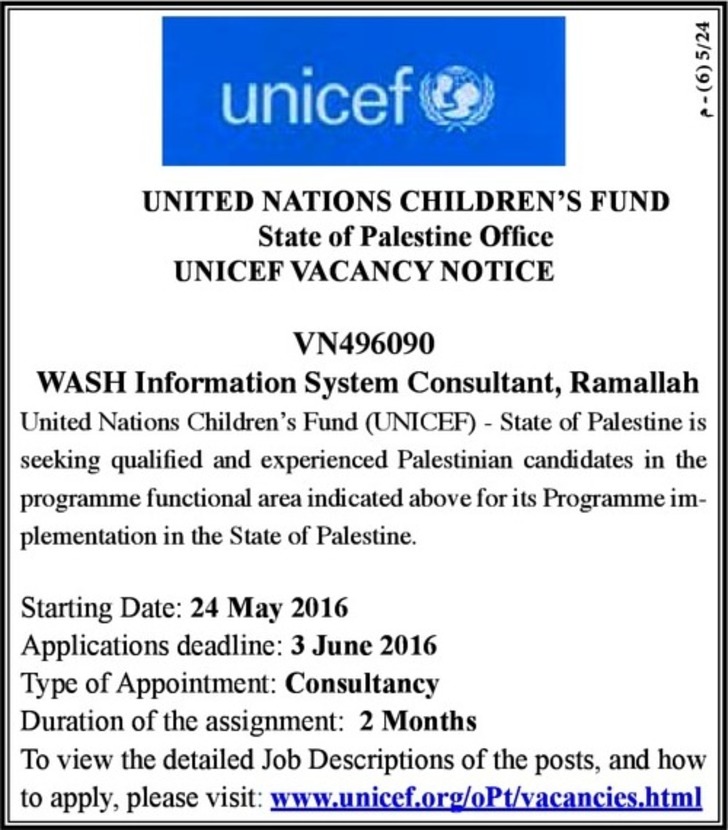 WASH information system consultant